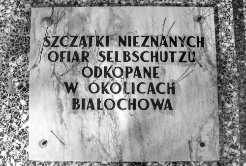Tablica-na-grobie-Polakow-zamordowanych-w-Bialochowie